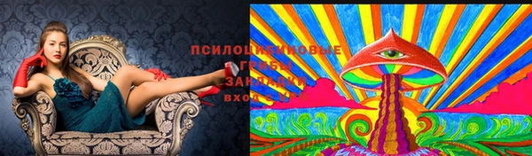 каннабис Балахна