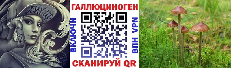 ссылка на мегу ссылка Спас-Деменск Галлюциногенные грибы мухоморы